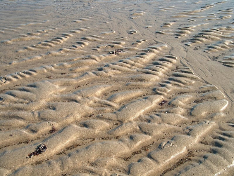 Rumors Confirmed Image